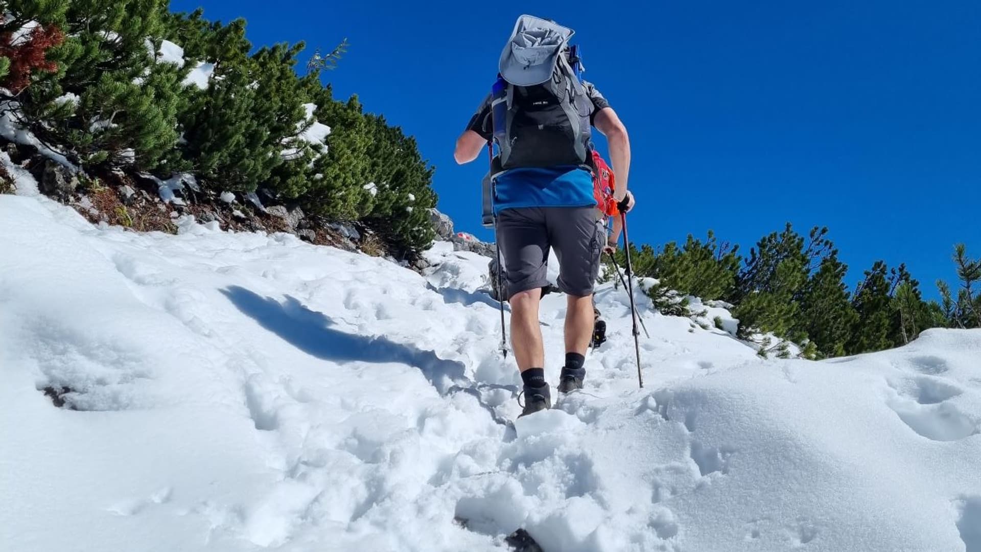 The mountain calls: technicians' hike 2022