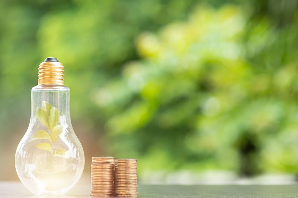 14 energy-saving tips for everyday life