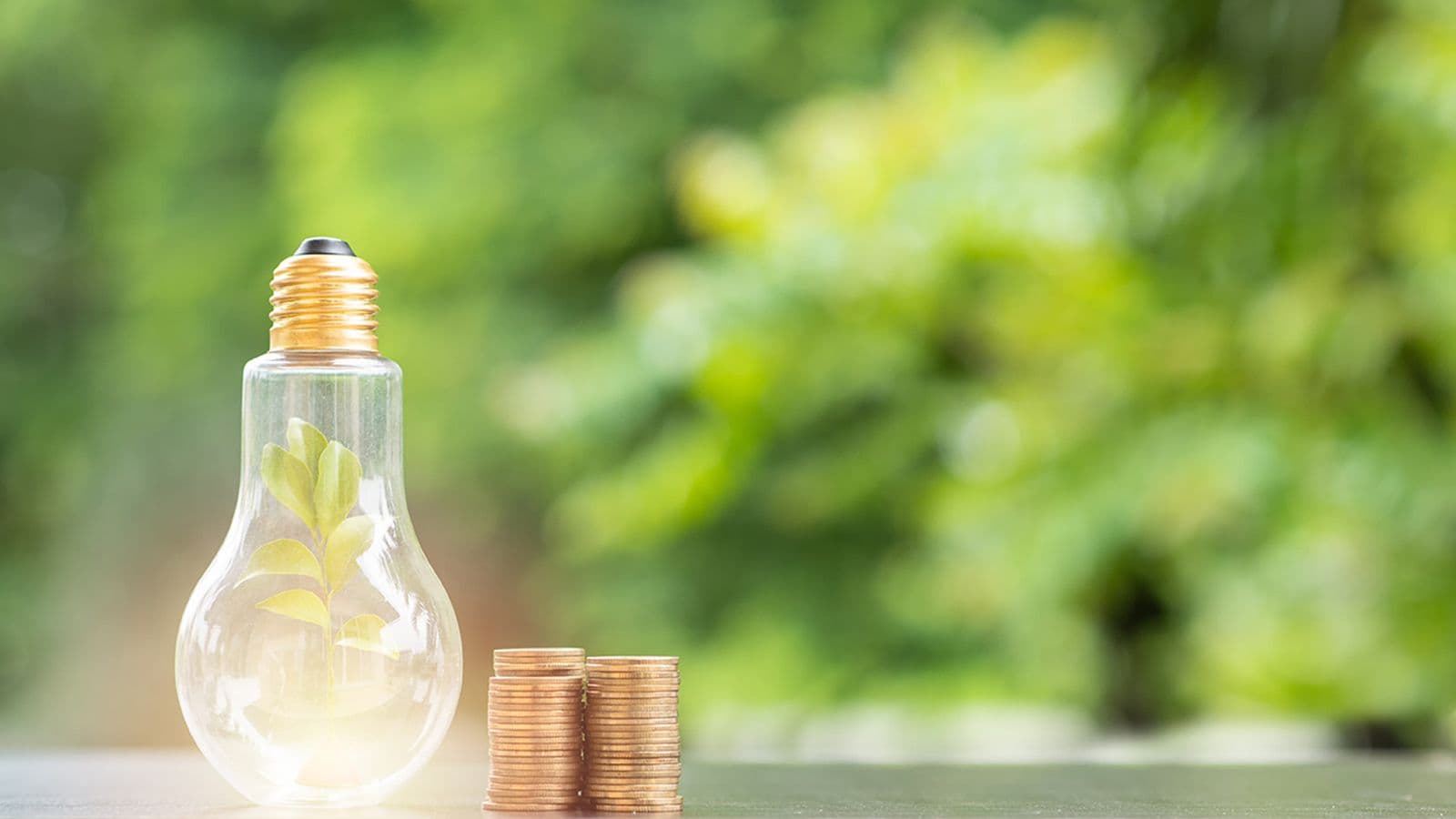 14 energy-saving tips for everyday life