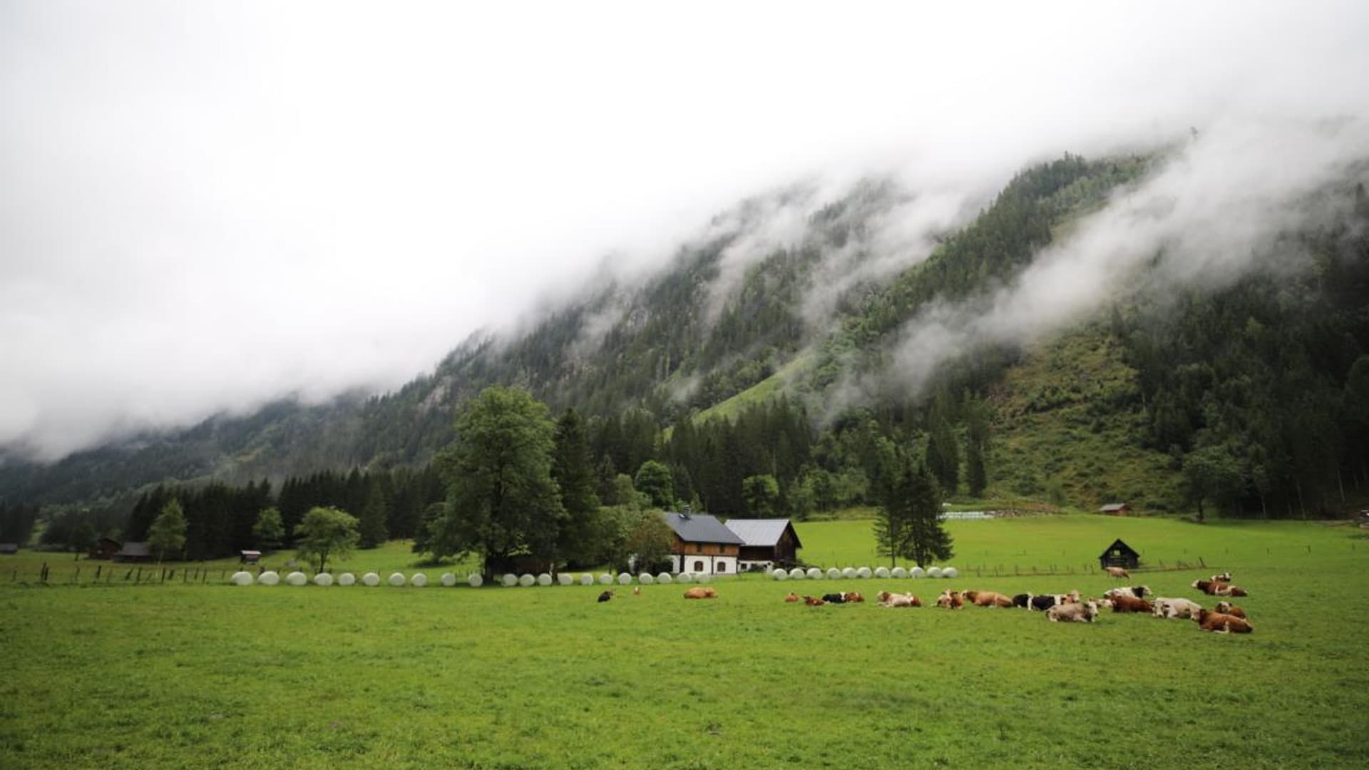 Company hike with Felix Gottwald