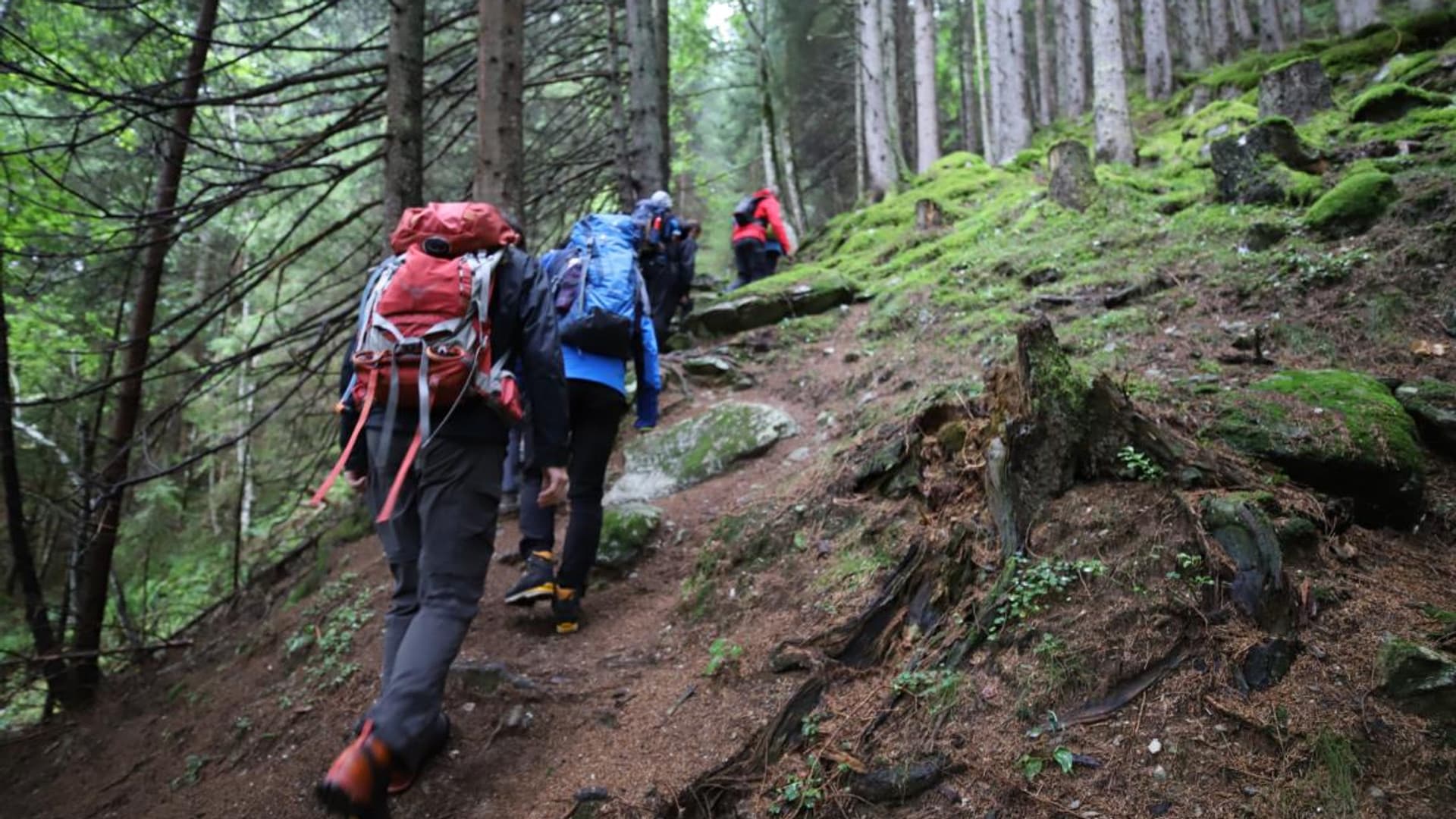 Company hike with Felix Gottwald