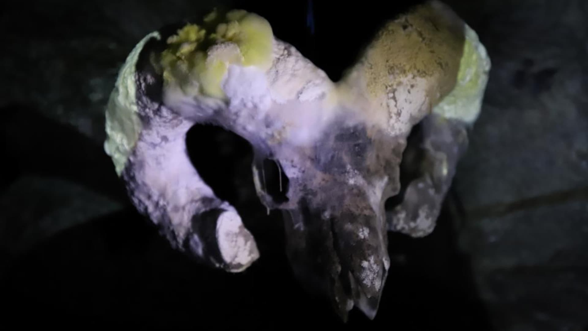 Company hike with Felix Gottwald