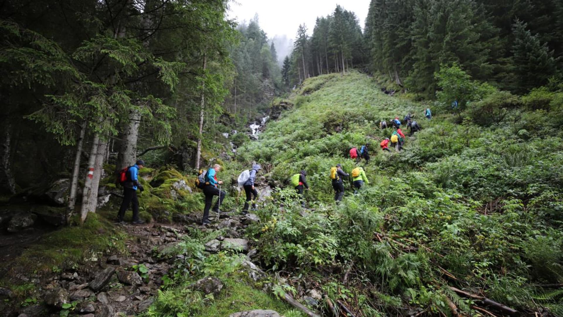Company hike with Felix Gottwald