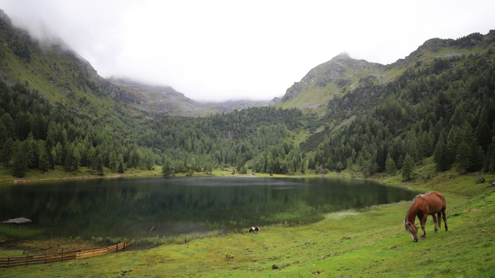 Company hike with Felix Gottwald