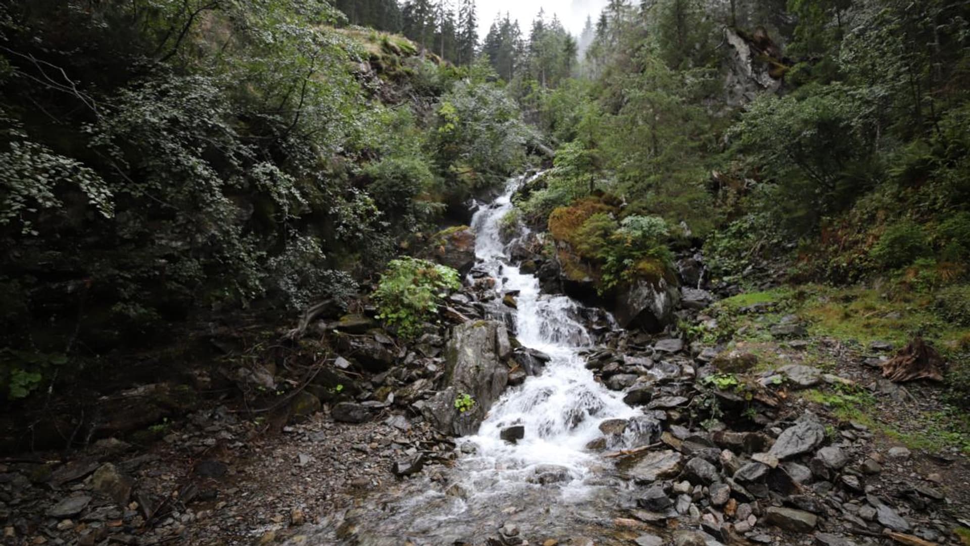 Company hike with Felix Gottwald