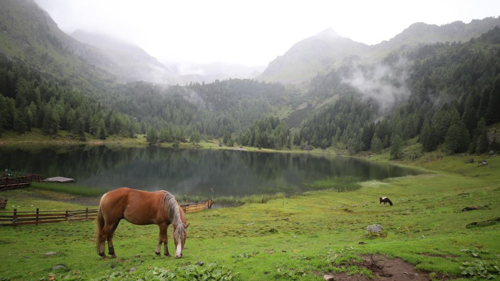 Company hike with Felix Gottwald
