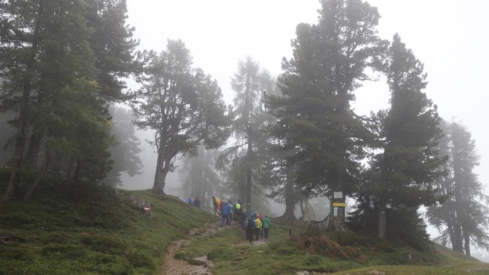 Company hike with Felix Gottwald
