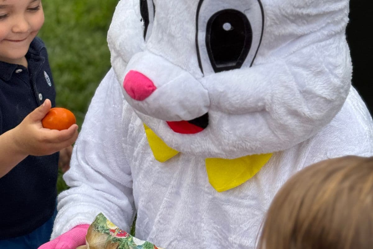 Happy Easter from the Glühwürmchen childcare centre 🐣