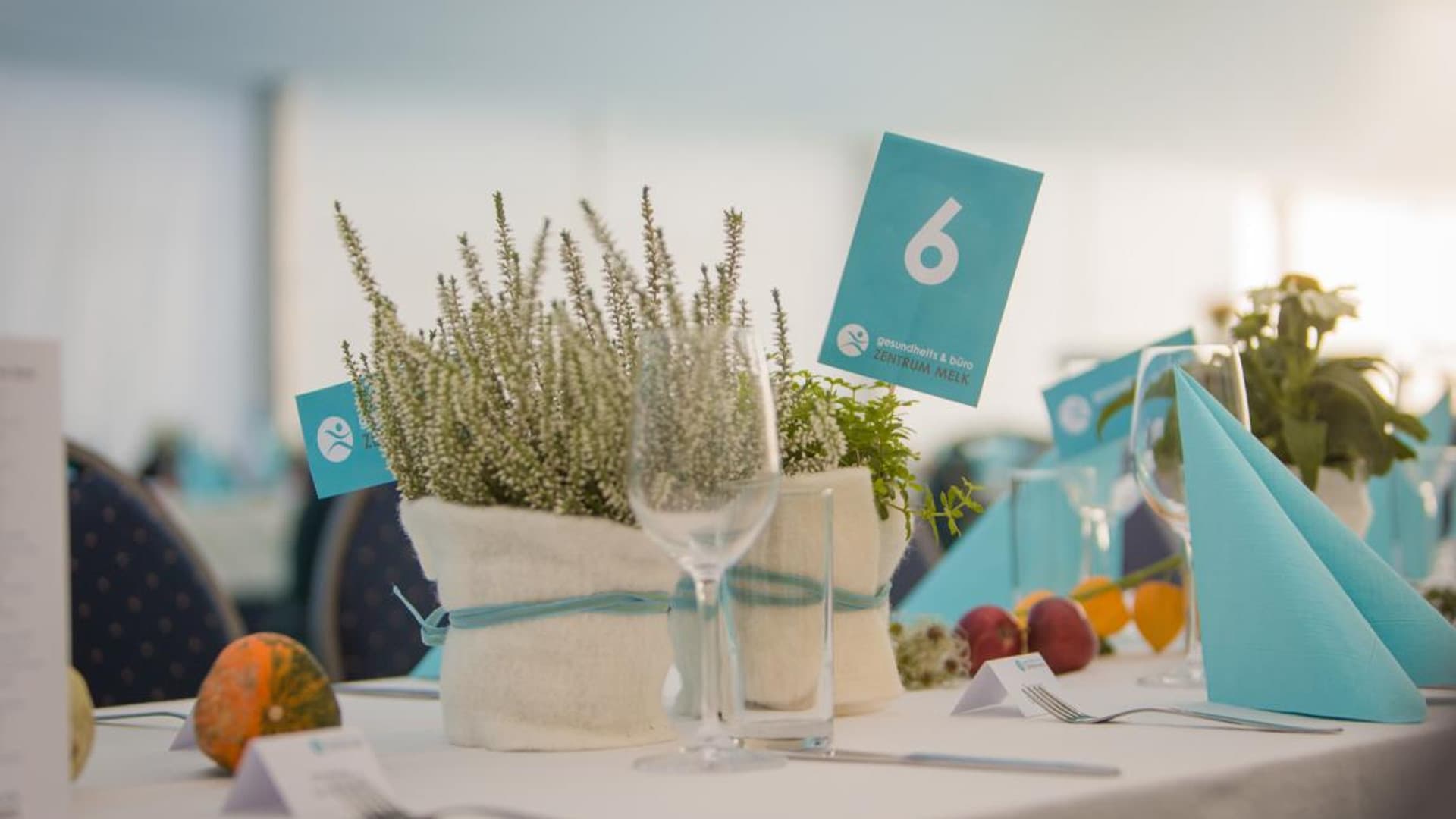 Successful opening of the GBZ Melk health and office centre