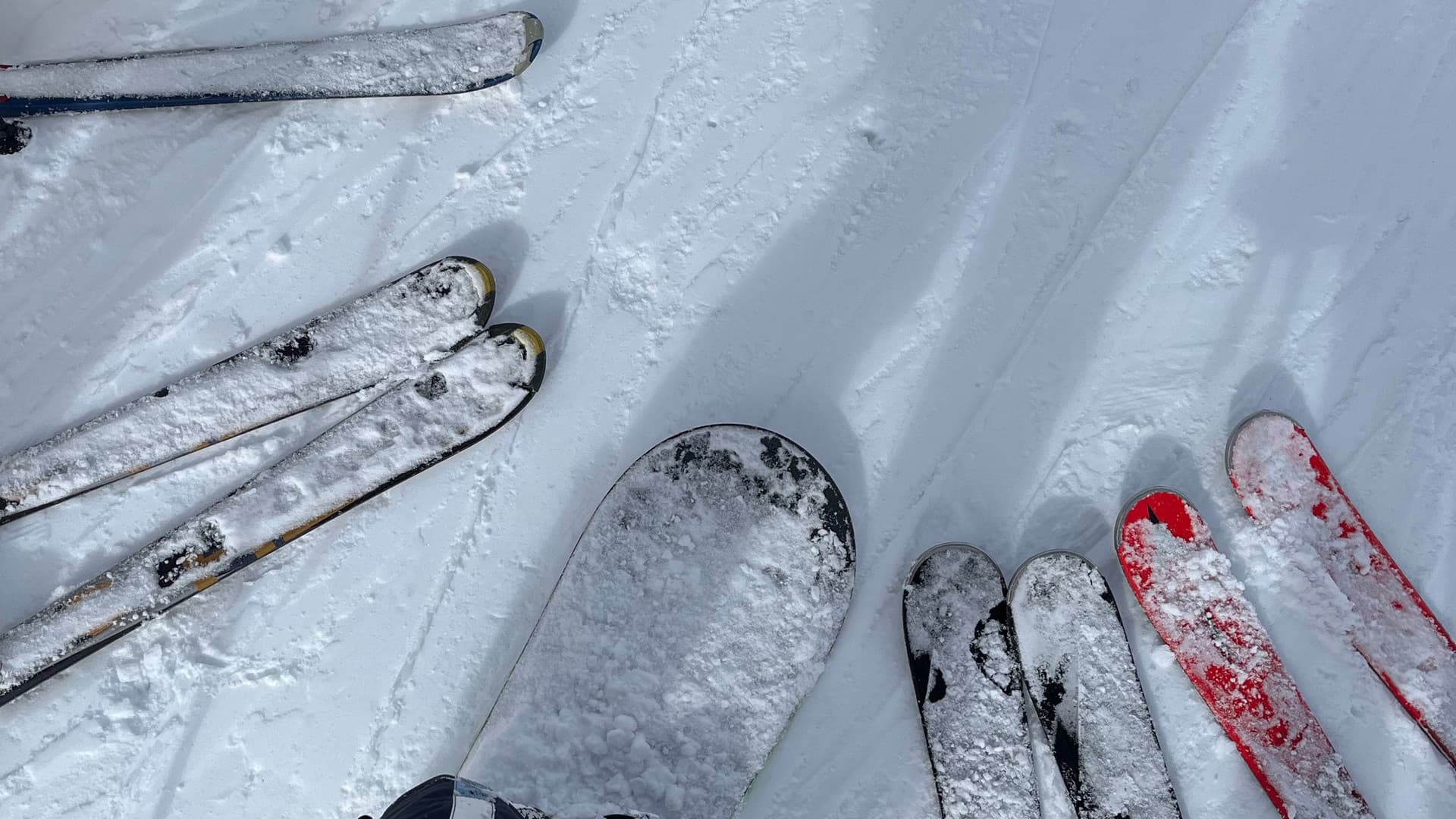 Fine food meets skiing: Gottwald company ski day 2025