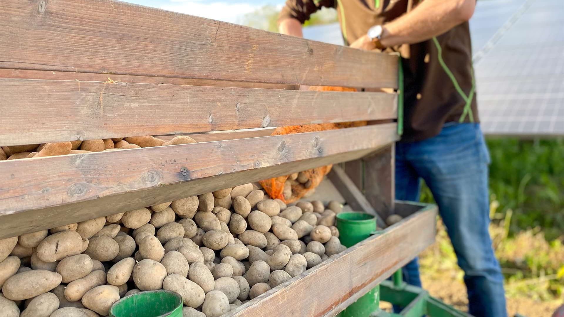 Potato feast 🥔