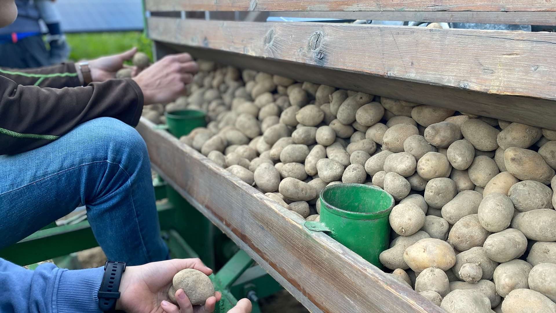 Potato feast 🥔