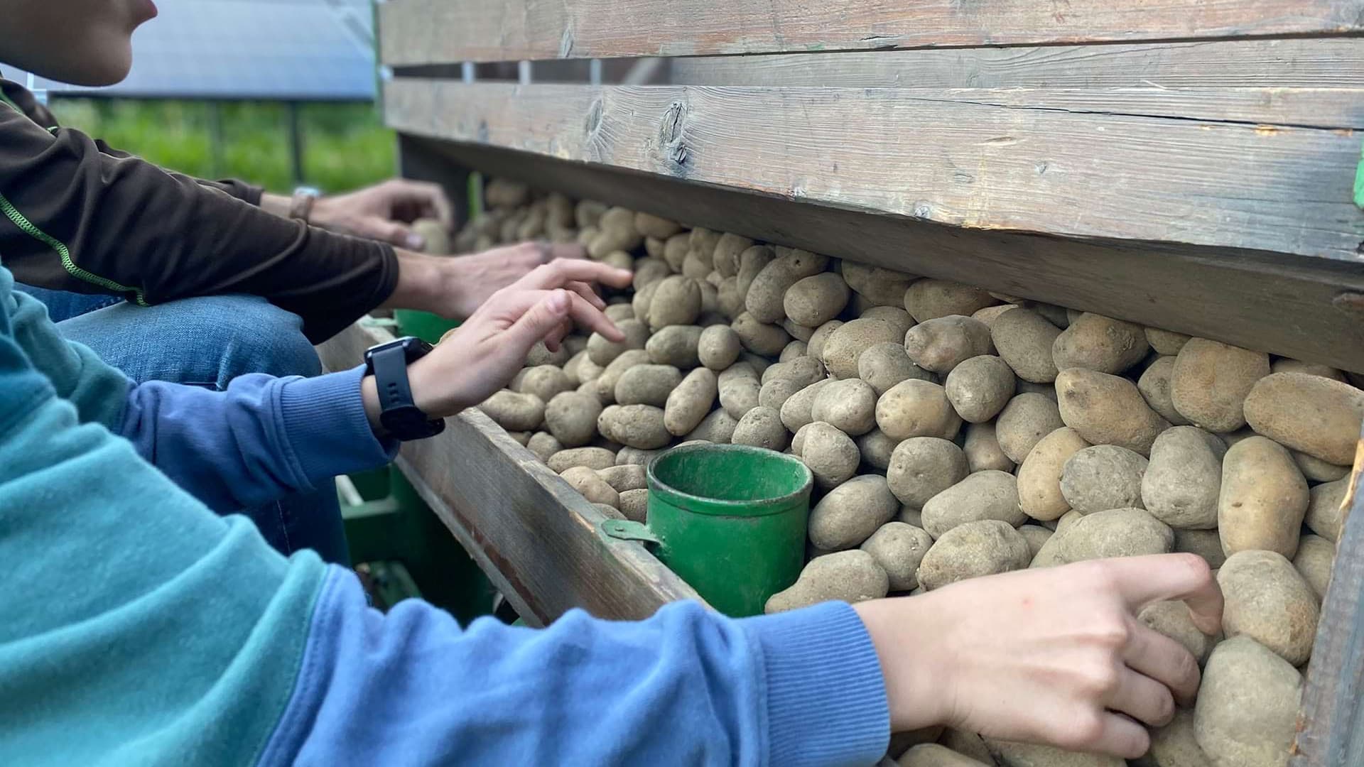 Potato feast 🥔