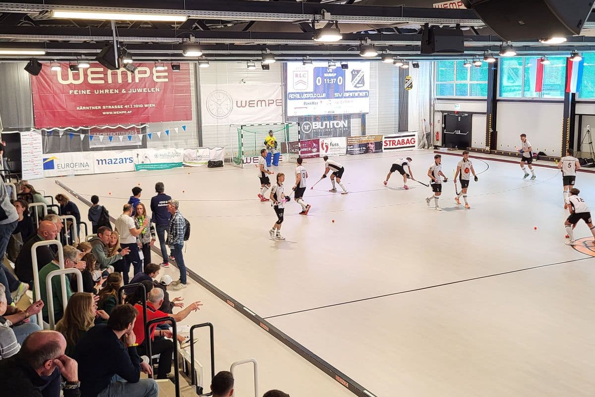 Vienna hockey hall - image 2