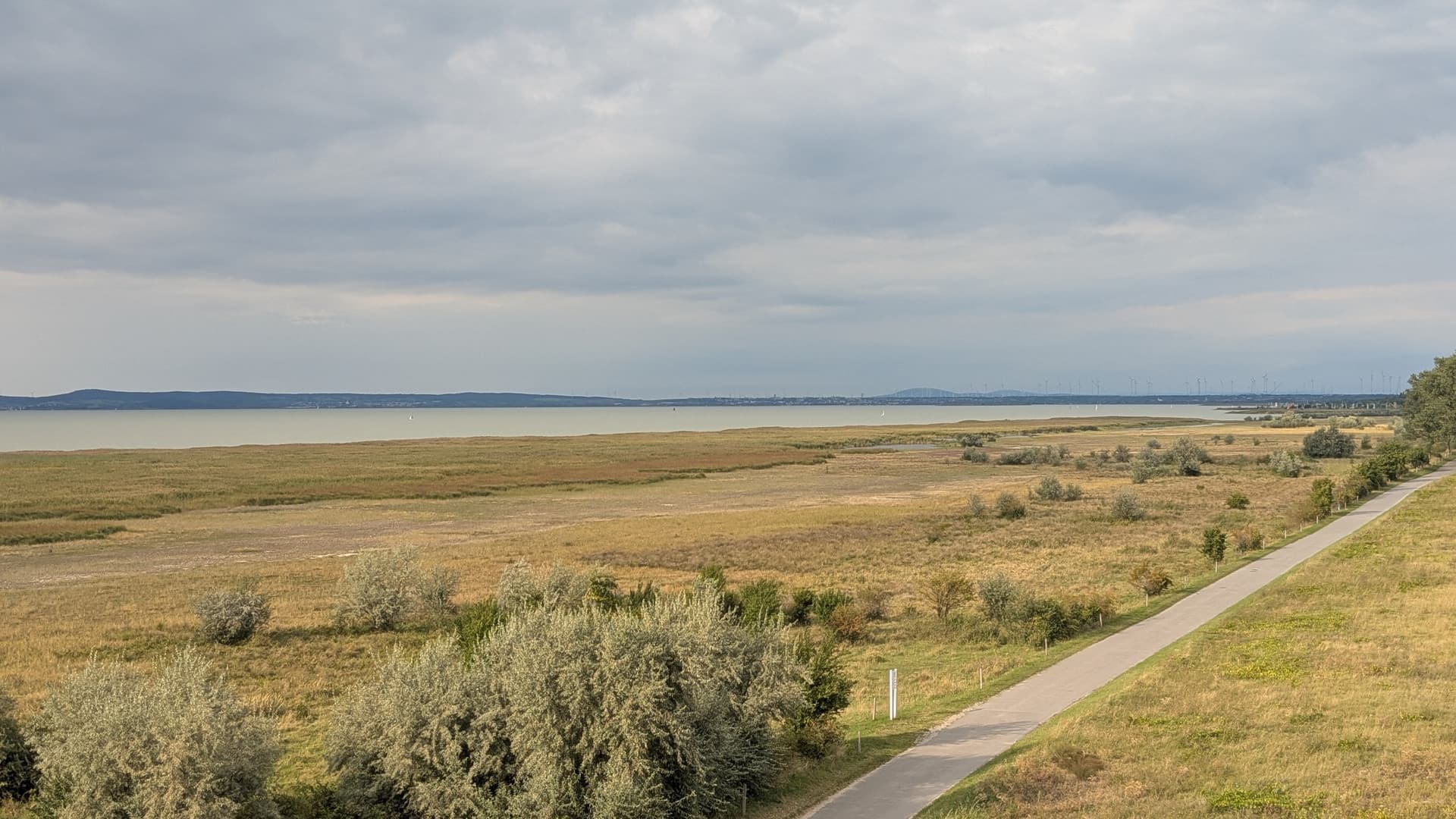 Tour de Neusiedl - a sporty team event for our Parndorf branch