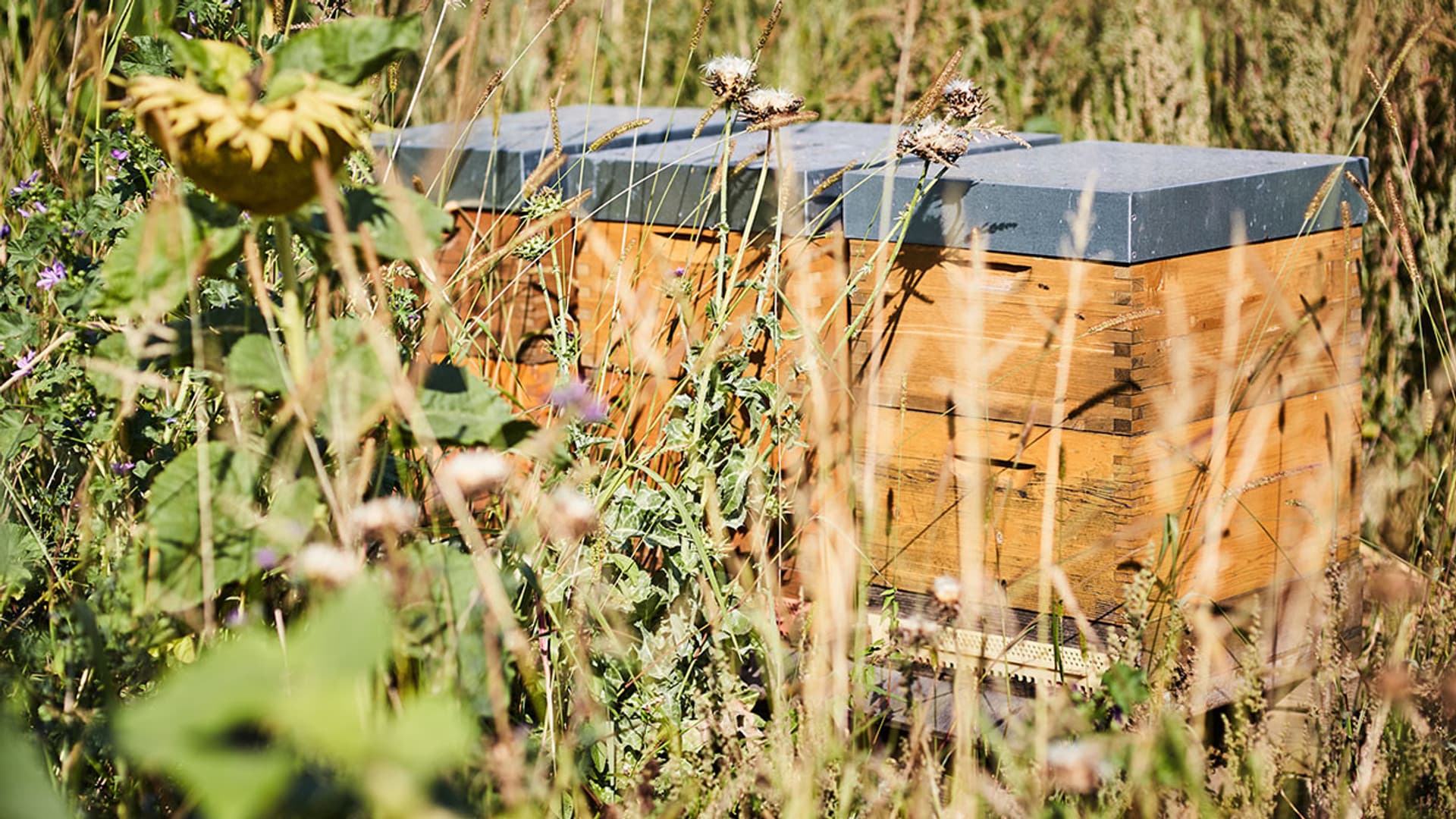 We take sustainability seriously